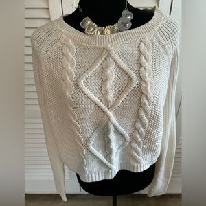 EUC Express cropped sweater
